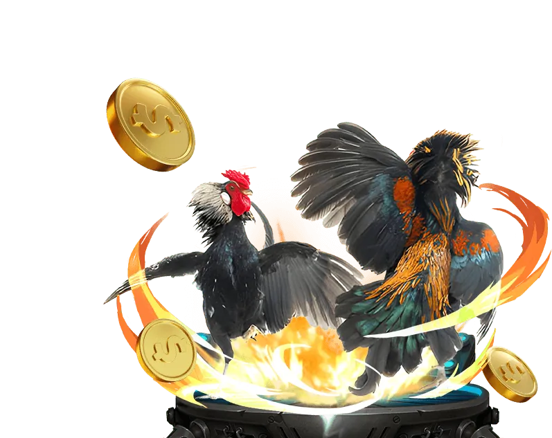 Hoàn trả cược S66